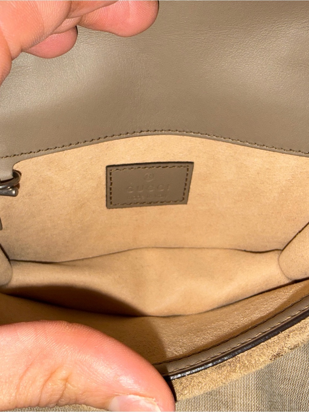 Gucci Beige GG Supreme Dionysus Crossbody with Brown Trim and Silver Hardware - Picture 7 of 11
